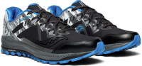 PEREGRINE 8 ICE+